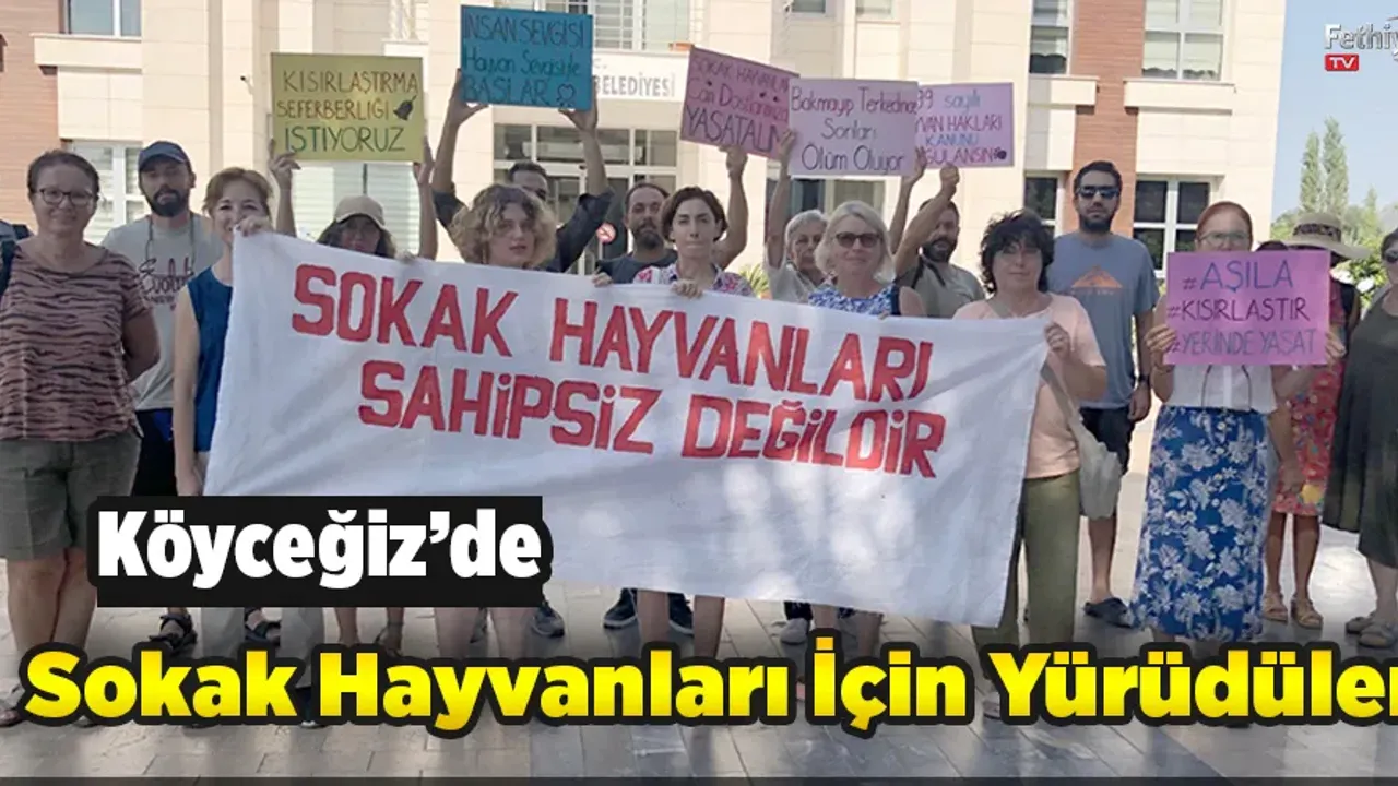 Köyceğiz’de Sokak Hayvanları İçin Yürüdüler