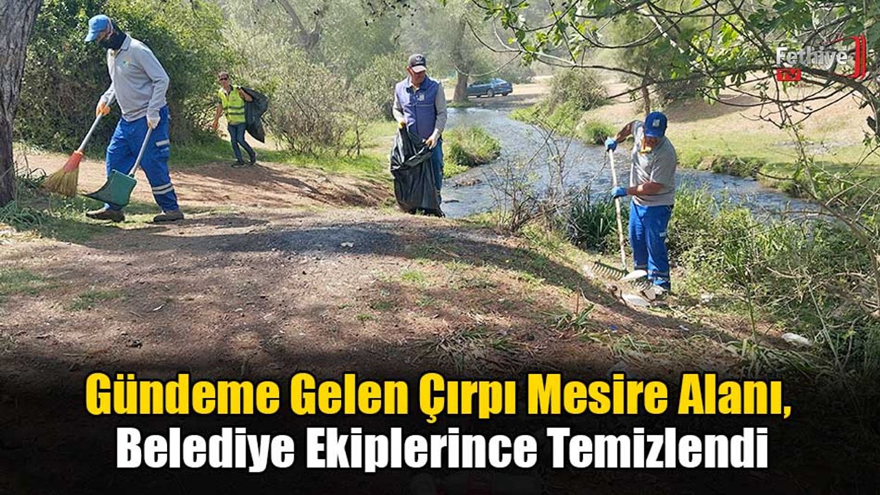 Gündeme Gelen Çırpı Mesire Alanı, Belediye Ekiplerince Temizlendi