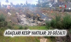 Ağaçları Kesip Yaktılar: 20 Gözaltı