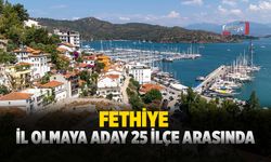 Fethiye, İl Olmaya Aday 25 İlçe Arasında