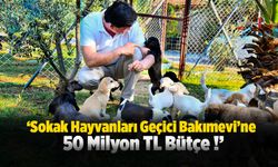 Karaca; ‘Bölgenin En Donanımlı Hayvan Bakımevi’ni Yapacağız’