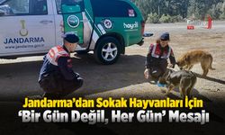 Jandarma’dan Sokak Hayvanlarına Karşı Duyarlı Davranış