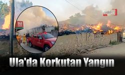 Ula'da Korkutan Yangın