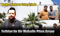 Fethiye’de Bir Mahalle Piton Arıyor