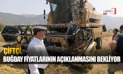 Çiftçi Buğday Fiyatlarının Açıklanmasını Bekliyor