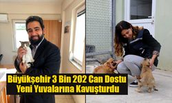 Büyükşehir 3 Bin 202 Can Dostu Yeni Yuvalarına Kavuşturdu