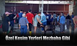 Özel Kesim Yerleri Mezbaha Gibi