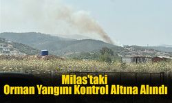 Milas'taki Orman Yangını Kontrol Altına Alındı