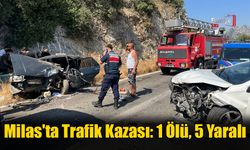 Milas'ta Trafik Kazası: 1 Ölü, 5 Yaralı