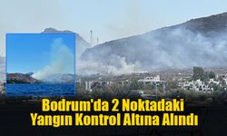 Bodrum'da 2 Noktadaki Yangın Kontrol Altına Alındı