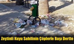 Zeytinli Kuyu Sahilinin Çöplerle Başı Dertte