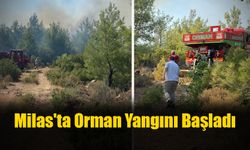Milas'ta Orman Yangını Başladı