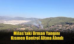 Milas’taki Orman Yangını Kısmen Kontrol Altına Alındı