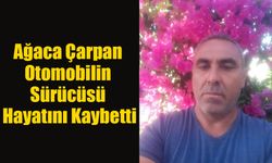 Ağaca Çarpan Otomobilin Sürücüsü Hayatını Kaybetti!