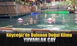 Köyceğiz'de Bulunan Doğal Klima: Yuvarlak Çay