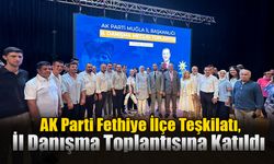 AK Parti Fethiye İlçe Teşkilatı, İl Danışma Toplantısına Katıldı