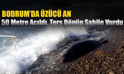 Bodrum'da Üzücü An: 50 Metre Açıldı, Ters Dönüp Sahile Vurdu