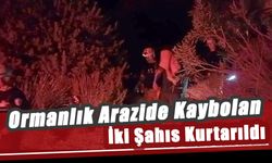 Ormanlık Arazide Kaybolan İki Şahıs Kurtarıldı