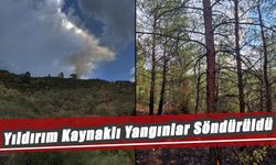 Yıldırım Kaynaklı Yangınlar Söndürüldü