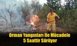 Orman Yangınları İle Mücadele 5 Saattir Sürüyor