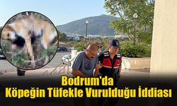 Bodrum'da Köpeğin Tüfekle Vurulduğu İddiası