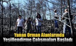 Yanan Orman Alanlarında Yeşillendirme Çalışmaları Başladı