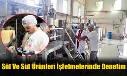 Süt Ve Süt Ürünleri İşletmelerinde Denetim