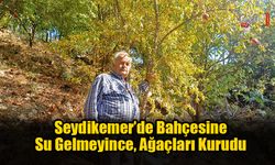 Seydikemer’de Bahçesine Su Gelmeyince, Ağaçları Kurudu