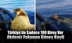 Türkiye'de Sadece 100 Birey Var