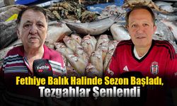 Fethiye Balık Halinde Sezon Başladı, Tezgahlar Şenlendi