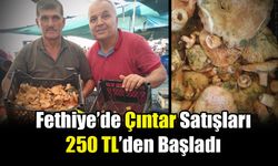 Fethiye’de Çıntar Satışları 250 TL’den Başladı