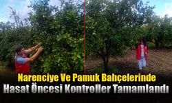 Narenciye Ve Pamuk Bahçelerinde Hasat Öncesi Kontroller Tamamlandı