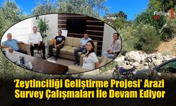 ‘Zeytinciliği Geliştirme Projesi’ Devam Ediyor