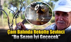 Çam Balında Rekolte Sevinci