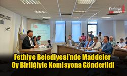 Fethiye Belediyesi’nde Maddeler Oy Birliğiyle Komisyona Gönderildi