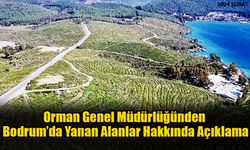 Orman Genel Müdürlüğünden Yanan Alanlar Hakkında Açıklama