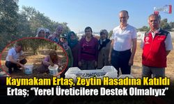 Kaymakam Ertaş, Zeytin Hasadına Katıldı