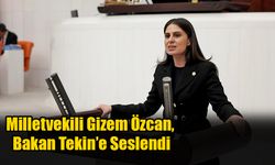 Milletvekili Gizem Özcan, Bakan Tekin’e Seslendi