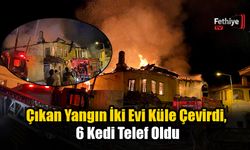 Milas'ta Geceyi Alevler Aydınlattı