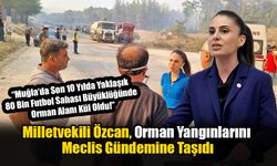 Milletvekili Özcan, Orman Yangınlarını Meclise Taşıdı