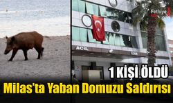 Yaban Domuzu Saldırısında 1 Kişi Öldü