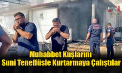 Muhabbet Kuşlarını Suni Teneffüsle Kurtarmaya Çalıştılar