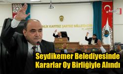 Seydikemer Belediyesinde Kararlar Oy Birliğiyle Alındı