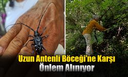 Ortaca’daki Ağaçlar İçin Önlem Alınıyor