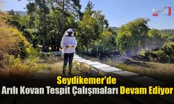 Seydikemer'de Arılı Kovan Tespit Çalışmaları Devam Ediyor