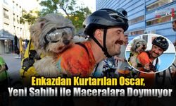 Enkazdan Kurtarılan Oscar, Yeni Sahibi ile Maceralara Doymuyor