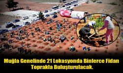 Muğla Genelinde 21 Lokasyonda Binlerce Fidan Toprakla Buluşturulacak.