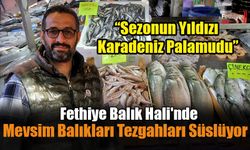 Fethiye Balık Hali'nde Mevsim Balıkları Tezgahları Süslüyor