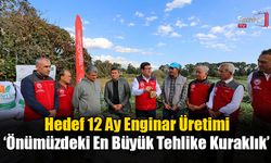 Muğla’da Hedef 12 Ay Enginar Üretimi