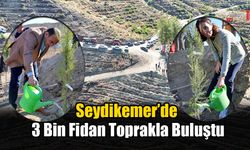 Seydikemer’de 3 Bin Fidan Toprakla Buluştu